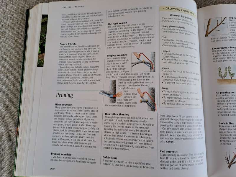 1001 Hints and Tips for your Garden