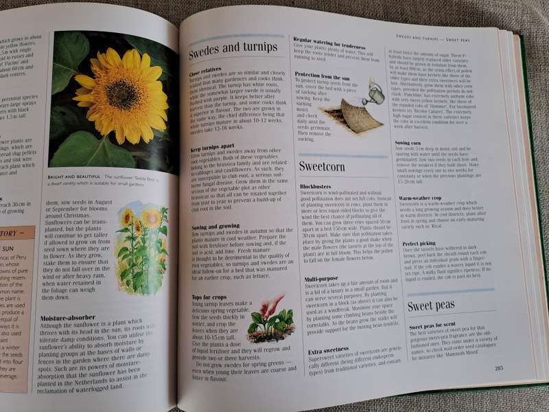 1001 Hints and Tips for your Garden