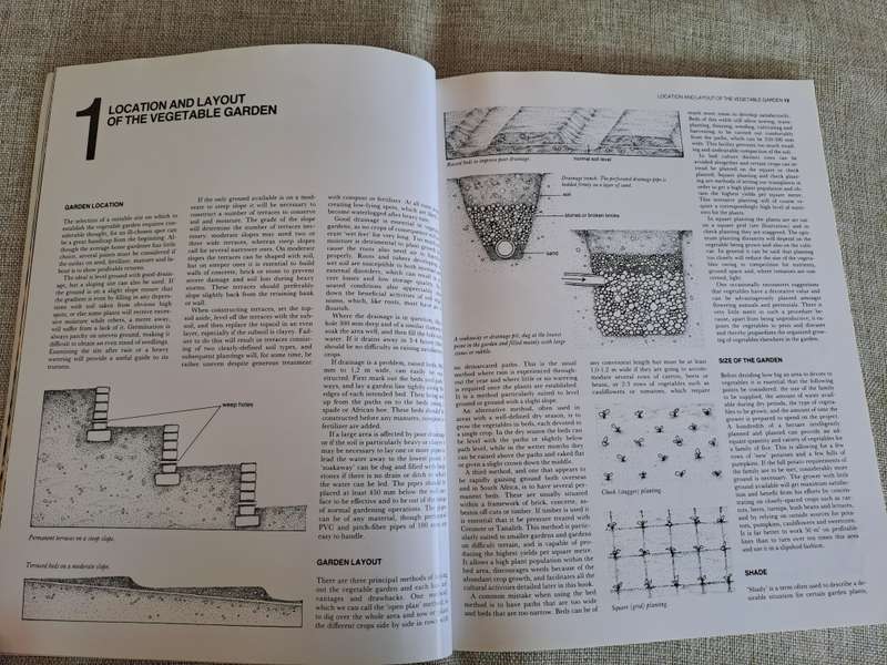 The A-Z of Vegetable Gardening in South Africa - Jack Hadfield