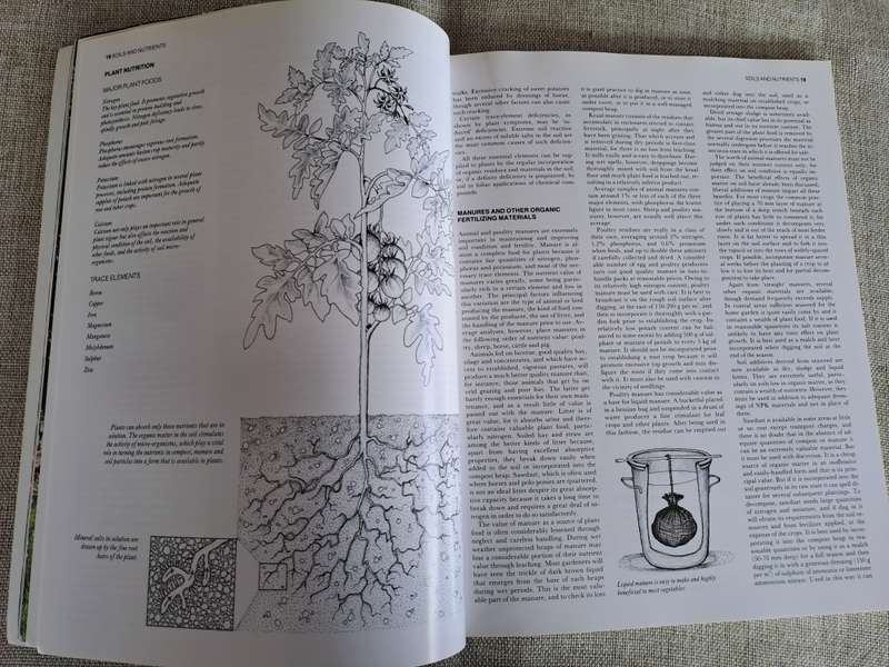 The A-Z of Vegetable Gardening in South Africa - Jack Hadfield