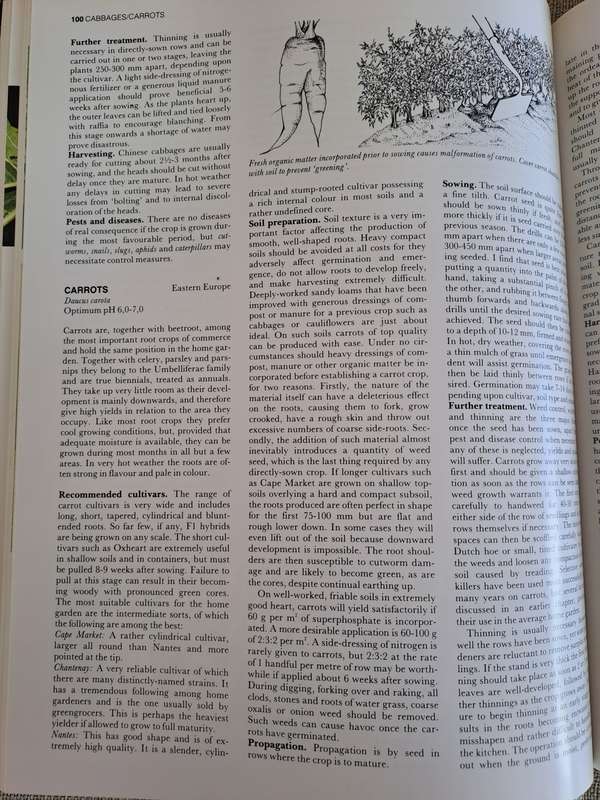 The A-Z of Vegetable Gardening in South Africa - Jack Hadfield