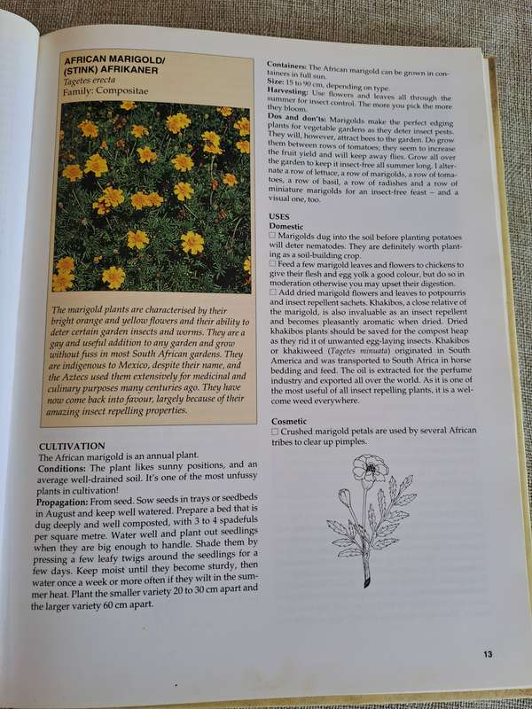 A-Z of Herbs - Margaret Roberts