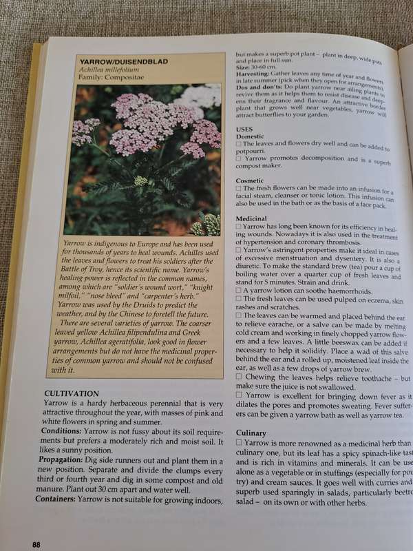 A-Z of Herbs - Margaret Roberts