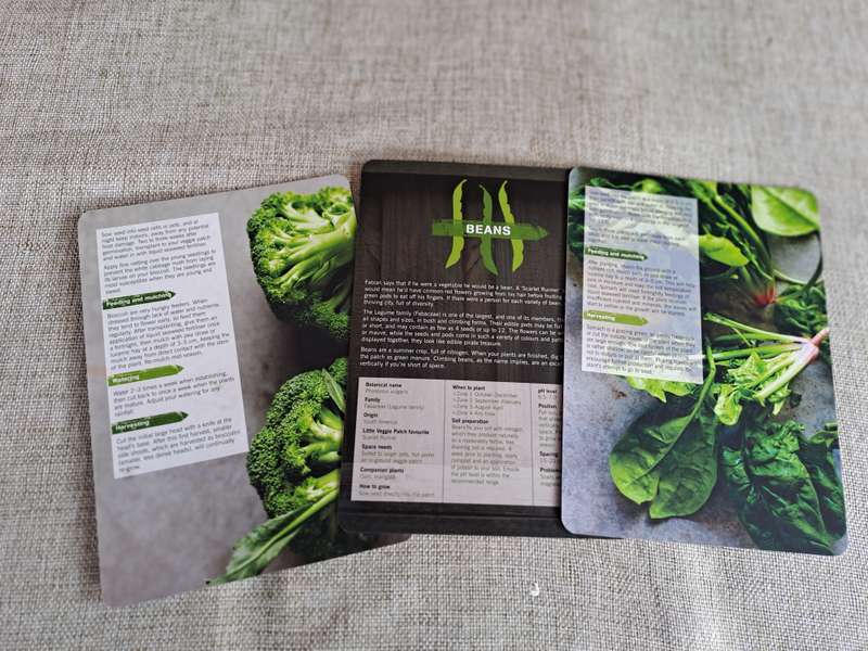 The Little Veggie Patch Co. How-to Cards Box Set