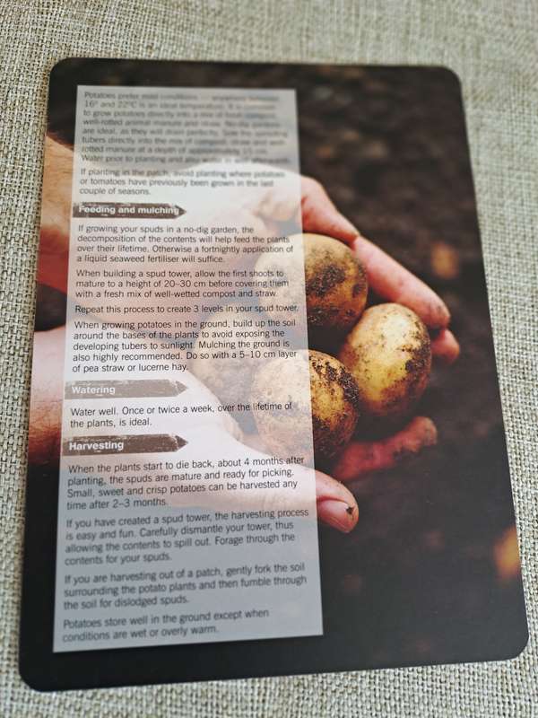 The Little Veggie Patch Co. How-to Cards Box Set