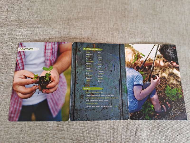 The Little Veggie Patch Co. How-to Cards Box Set