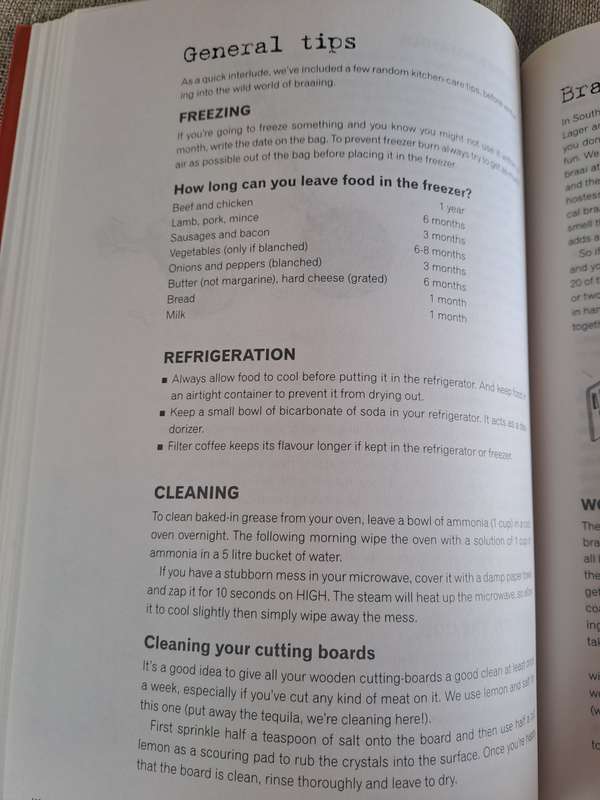 Everyday Survival Guide - Lindie Metz & Jennifer Swarts