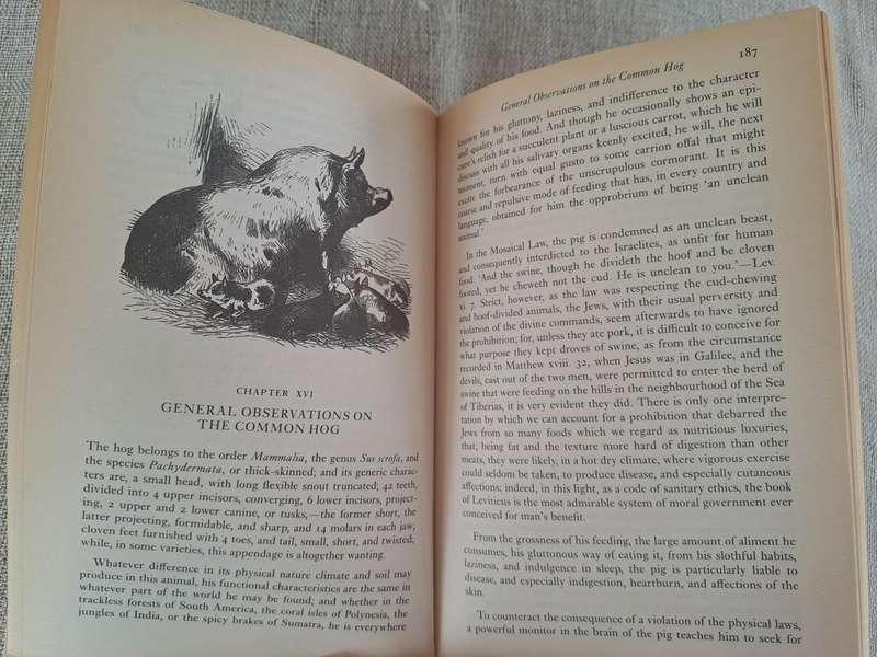 Mrs Beeton's Book of Household Management