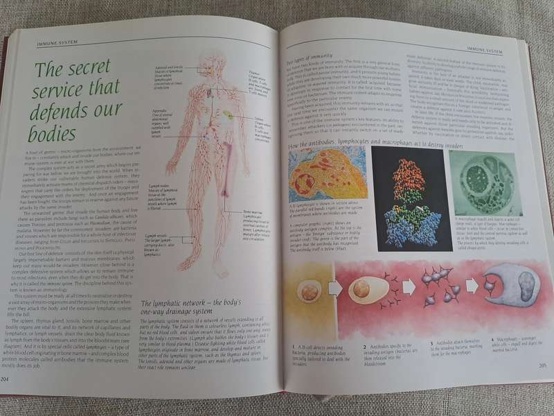 South African Family Guide to Natural Medicine  Readers Digest