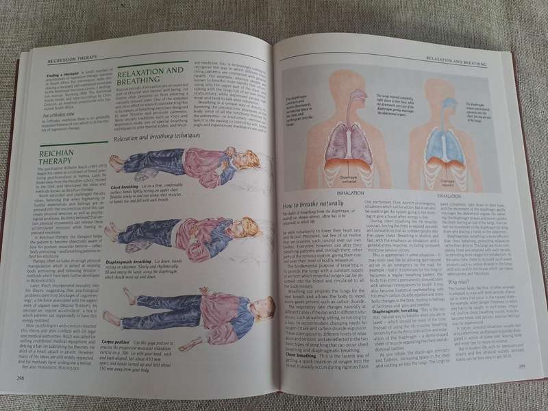 South African Family Guide to Natural Medicine  Readers Digest