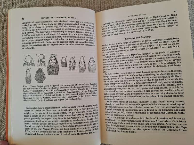A Field Guide to the Snakes of Southern Africa - V.F.M. FitzSimons