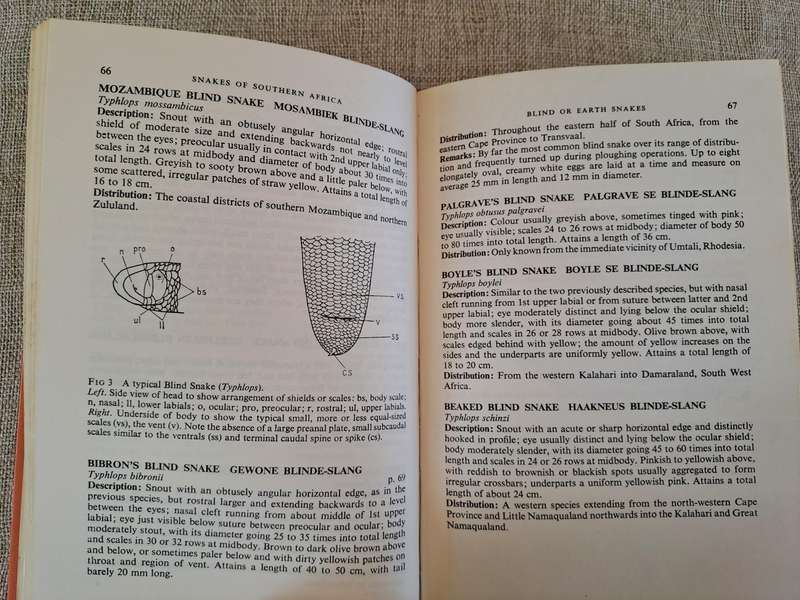 A Field Guide to the Snakes of Southern Africa - V.F.M. FitzSimons