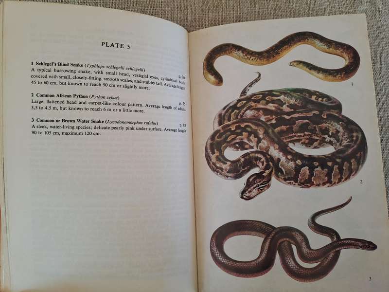 A Field Guide to the Snakes of Southern Africa - V.F.M. FitzSimons