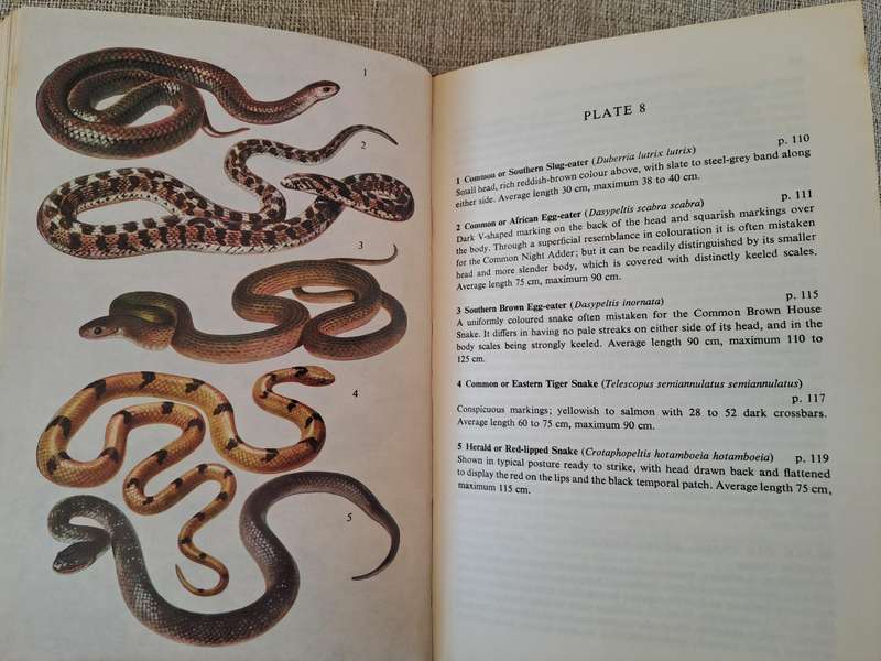 A Field Guide to the Snakes of Southern Africa - V.F.M. FitzSimons