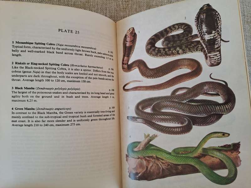 A Field Guide to the Snakes of Southern Africa - V.F.M. FitzSimons