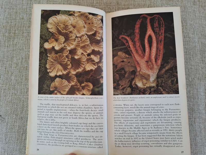 A Field Guide to the Mushrooms of South Africa  2nd Edition