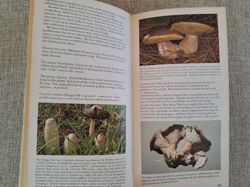 A Field Guide to the Mushrooms of South Africa  2nd Edition