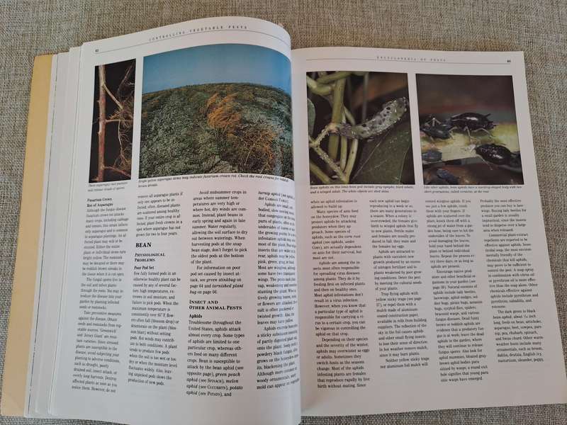 Controlling Vegetable Pests - Cynthia Putnam (editor)