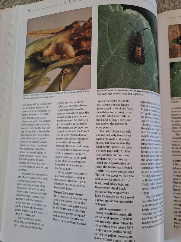 Controlling Vegetable Pests - Cynthia Putnam (editor)