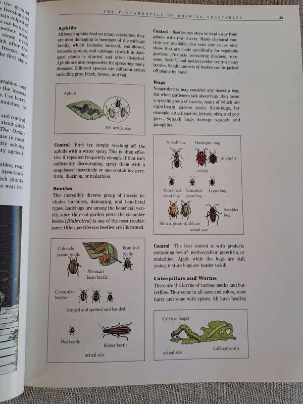 All About Vegetables - Walter L. Doty