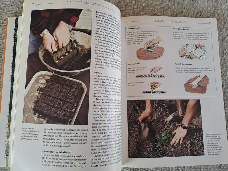 All About Vegetables - Walter L. Doty