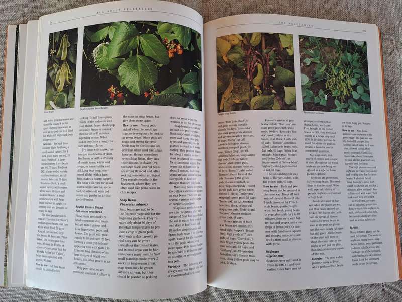 All About Vegetables - Walter L. Doty