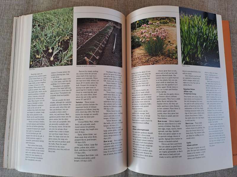 All About Vegetables - Walter L. Doty