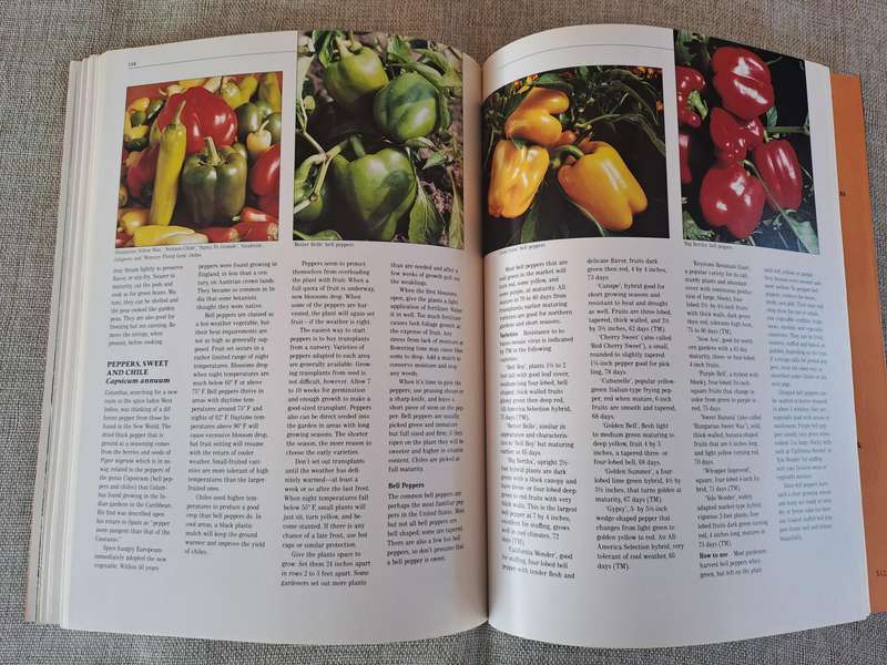All About Vegetables - Walter L. Doty