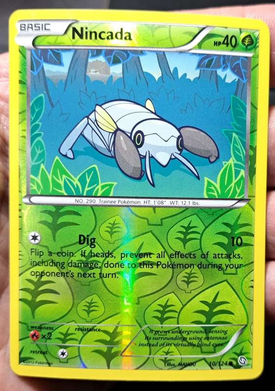 Pokemon Trading Cards - Nincada - 10/124 - Reverse Holo - Dragons Exalted - NM
