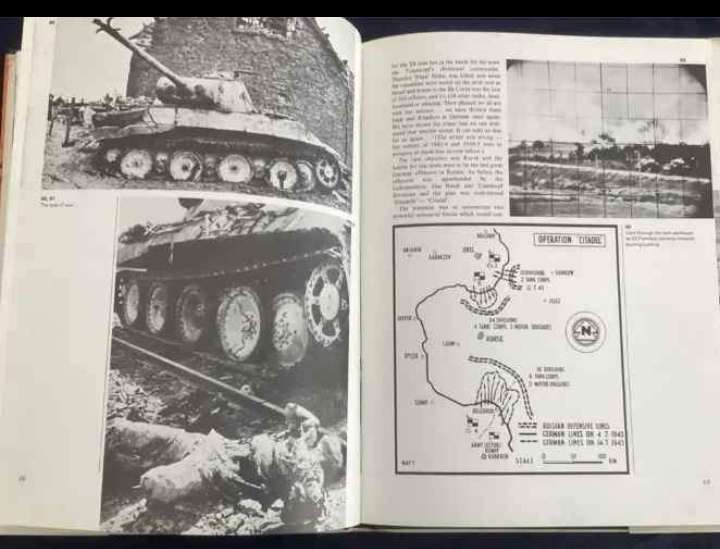 WAFFEN SS AT WAR