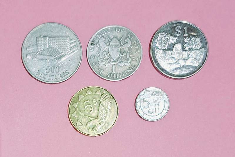 5 Africa Coins