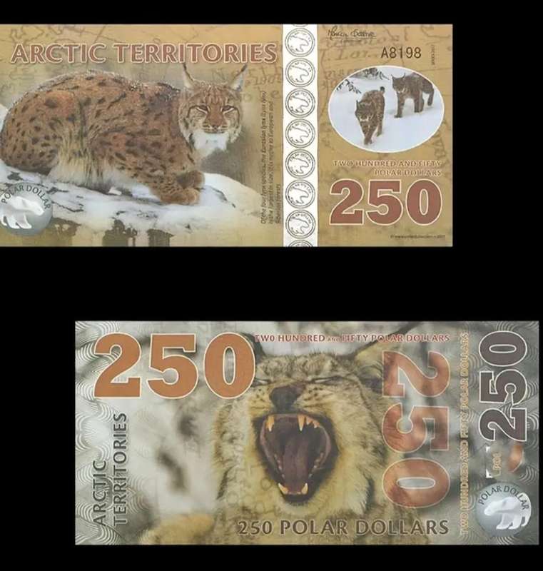 14pcs Arctic Wildlife Paper Money Set,Animal Designs "Excellent" New