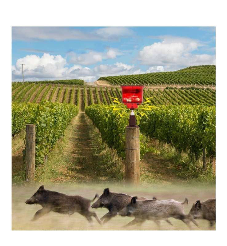 Solar Bird Repeller Light Animal Repellent Sound Light Alarm - 4 Pack