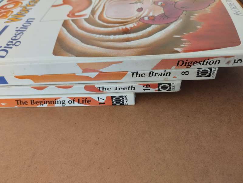How My Body Works - Book 5, 8, 16, 17 (bundle)