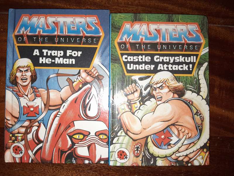He-Man Masters of the Universe Book Bundle (A Trap for He Man & Castle Grayskull Under Attack!)