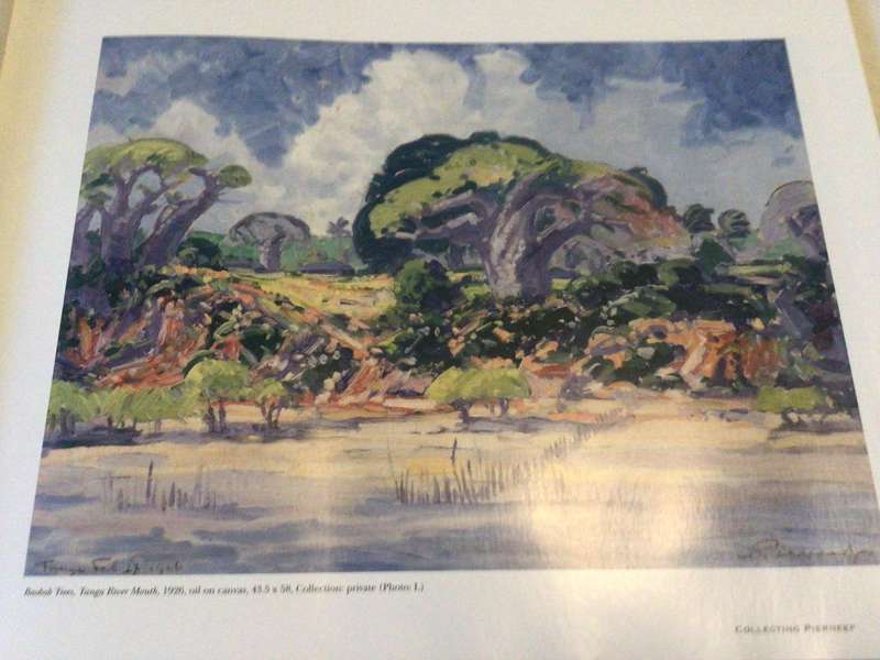 A Space For Landscape: The Work of J H Pierneef Book