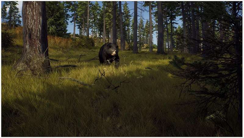 Way of the Hunter (PS5)