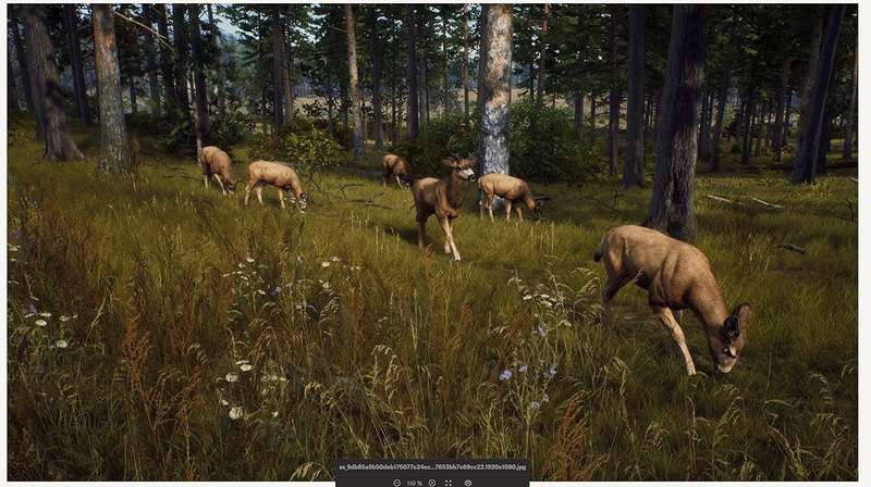 Way of the Hunter (PS5)