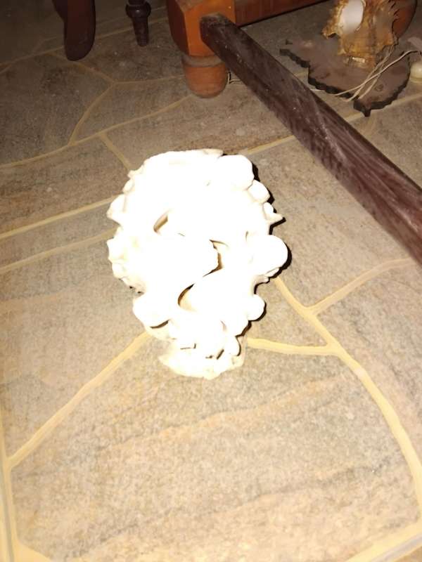 Mauritania Clam Night light shade fitting