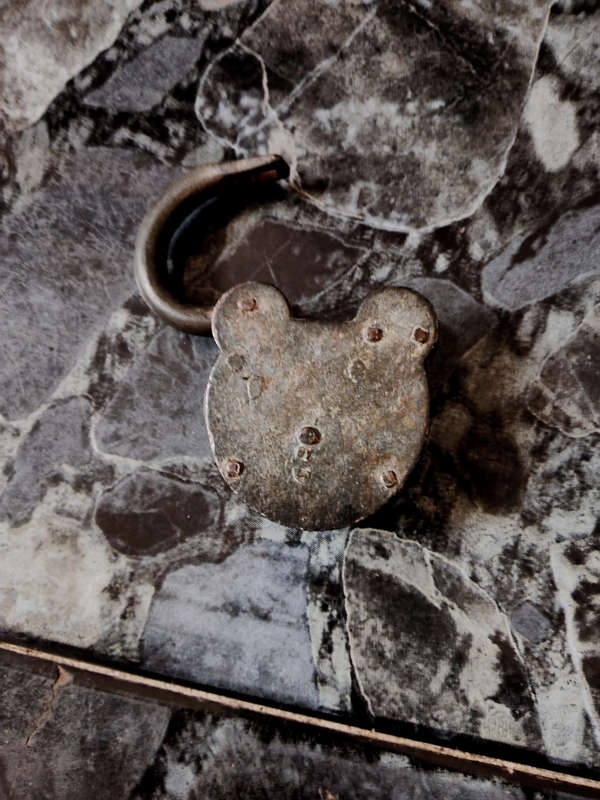 Early 1900 Padlock with brass detail