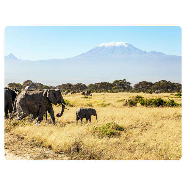 Printed Mouse Pad: Elephants with Mountain