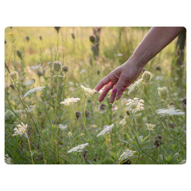 Printed Mouse Pad: Flower Picking