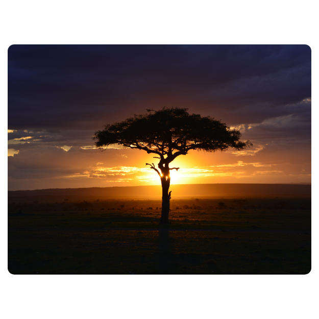 Printed Mouse Pad: Sunset Bush