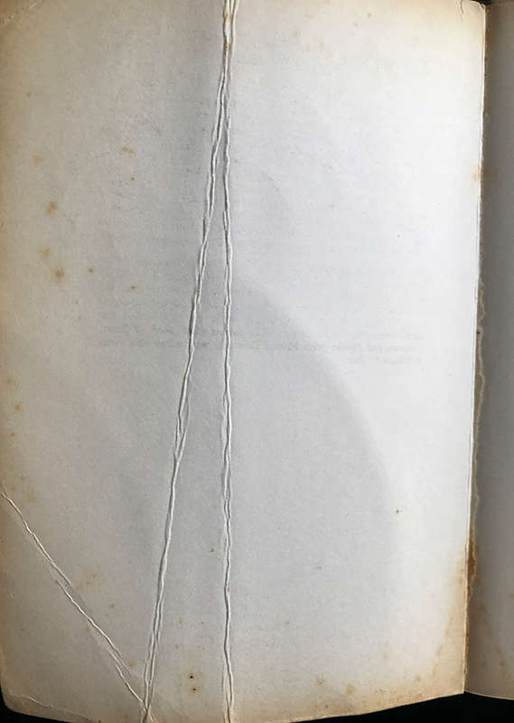 The Constance Spry Cookery Book