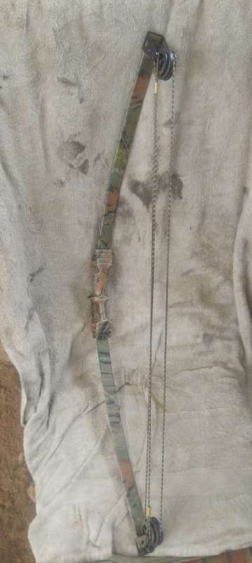 Compound Bow
