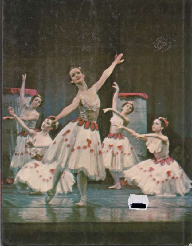 Ballet in Colour by Craig Dodd