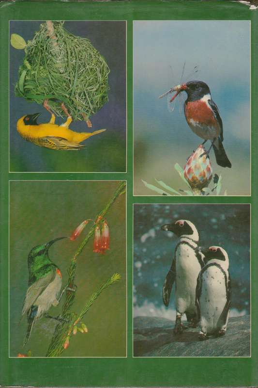 Birds of the South Western Cape - Joy Frandsen