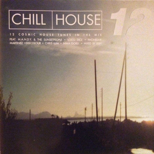 Various  Chill House 12
