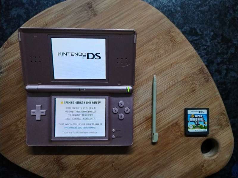 Nintendo Ds lite ( Mario game and USB charger)