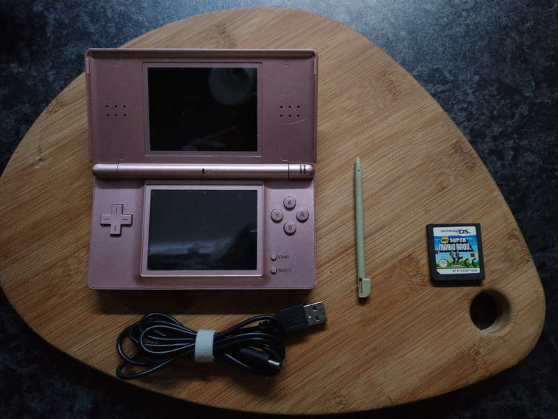 Nintendo Ds lite ( Mario game and USB charger)
